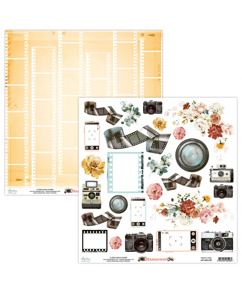 12 x 12 Elements Paper - Mamarazzi