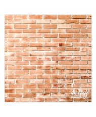 Craft Photo Backdrop - 08