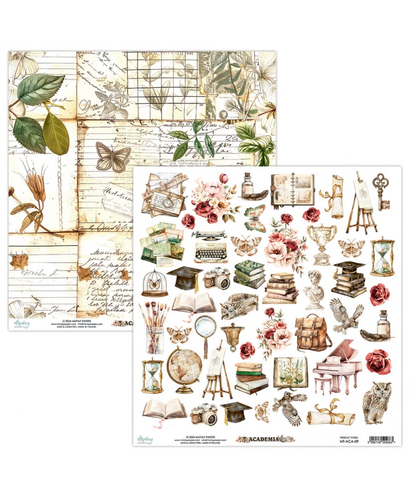 Academia - 12 x 12 Elements Paper