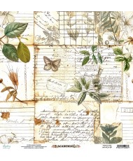 Academia - 12 x 12 Elements Paper