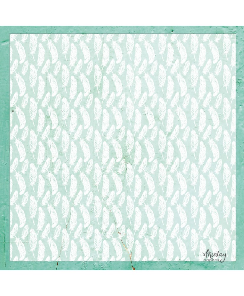 Decorative Vellum - Feathers 12 x 12