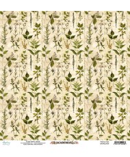 Academia 12 x 12 Paper Set