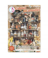 Cabinet of Curiosities Junk...