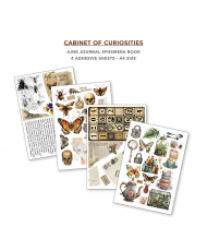 Ephemera Book Cabinet of Curiosities A4 32/Pkg