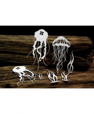 Tropical Adventure – Jellyfish