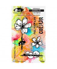 Visible Image Clolourful...