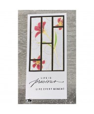 Visible Image Blocked Up 4x6in Stamp Set