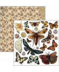 Cabinet of curiosities  Fussy Cut Pad 6"x6" 24/Pkg