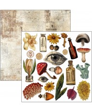 Cabinet of curiosities  Fussy Cut Pad 6"x6" 24/Pkg