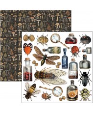 Cabinet of curiosities  Fussy Cut Pad 6"x6" 24/Pkg