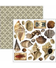 Cabinet of curiosities  Fussy Cut Pad 6"x6" 24/Pkg