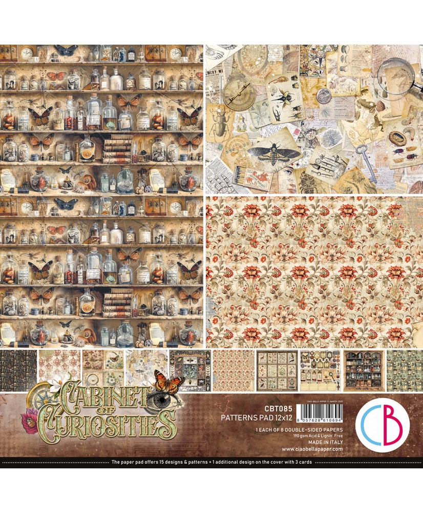 Cabinet of curiosities  Patterns Pad 12"x12" 8/Pkg