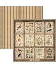 Cabinet of curiosities  Patterns Pad 12"x12" 8/Pkg
