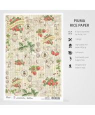 Rice Paper A4 Country Strawberries