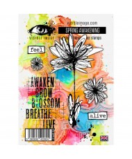 Visible Image Spring...