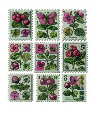 Sticker Set 10/Pkg Faraway mail