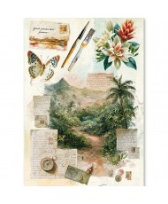 Rice Paper A5 MIXED 8/Pkg Asia Diary (Pre-order)
