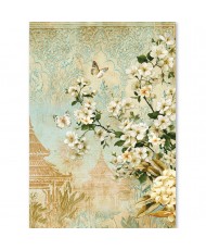 Rice Paper A5 MIXED 8/Pkg Asia Diary (Pre-order)