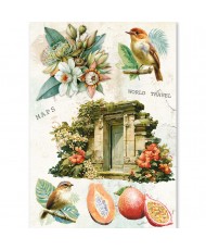 Rice Paper A5 MIXED 8/Pkg Asia Diary (Pre-order)