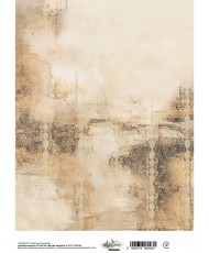 In the Library - Rice Paper...