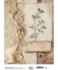 In the Library - Rice Paper...