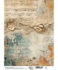 In the Library - Rice Paper...