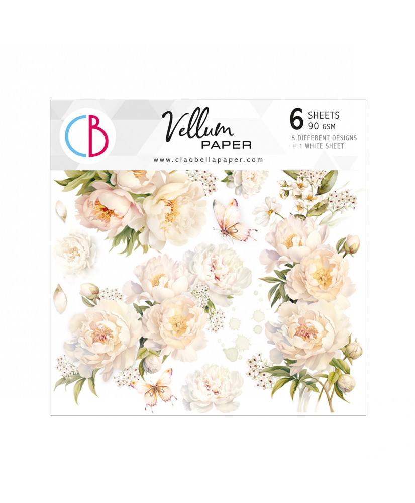 Vellum Always & Forever Paper Patterns A4 6/Pkg