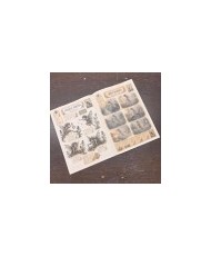 Fairy Fantasia Paper Book - A4