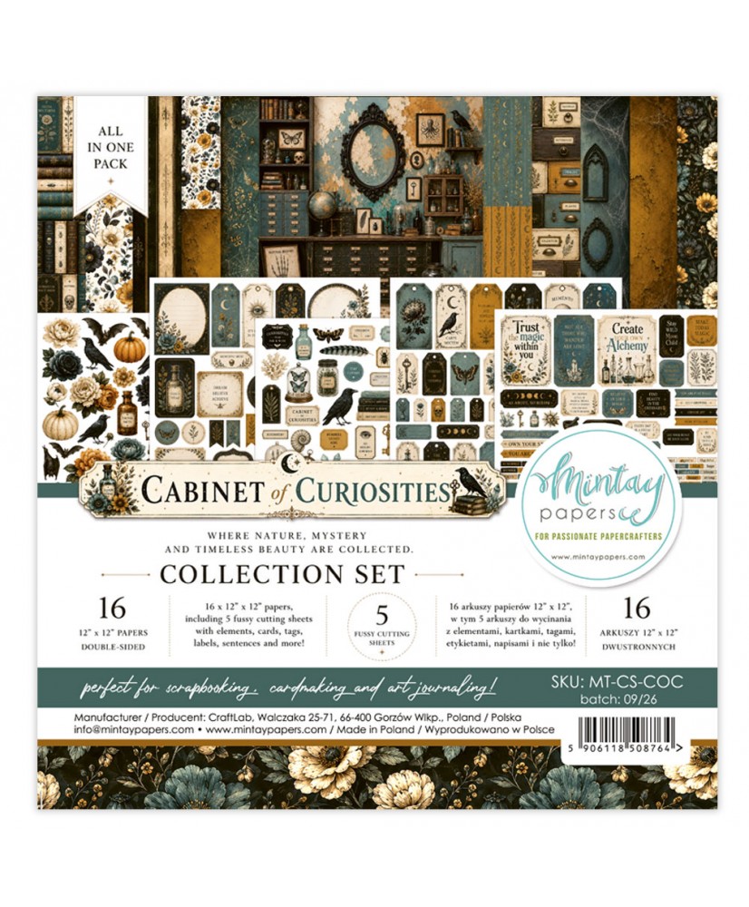 CABINET OF CURIOSITIES 12 x 12 Collection Set  16Pg (Pre-order)
