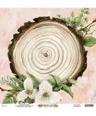 Woodland – 12 x 12 Paper Set