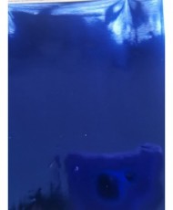 Bustling Blue Transfer Foil  – 5 sheets