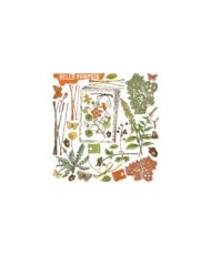 Vintage Artistry Leaves – 12×12 Collection Paper Pack
