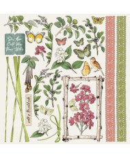 Vintage Artistry Naturalist – 12×12 Collection Paper Pack      