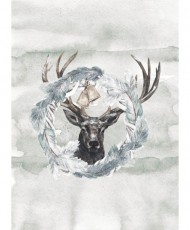 DREAMLAND A6 paper pad, CARD SET 24 one-sided sheets