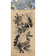 JMA Stamp Robins On Holly...