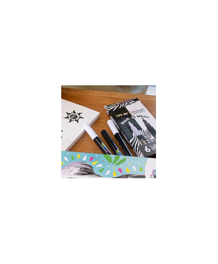 Black And White Fine Tip Acrylic Paint Pens - Set