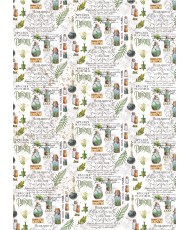 Vellum Wizard Academy Paper Patterns A4 6/Pkg